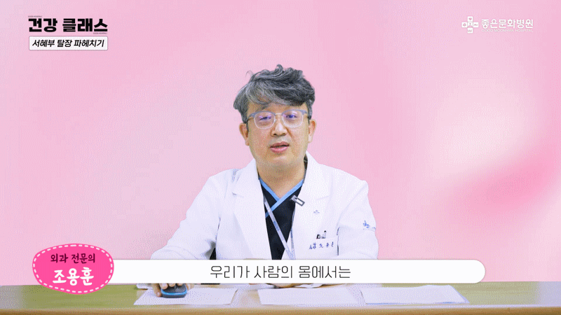 탈장 정의