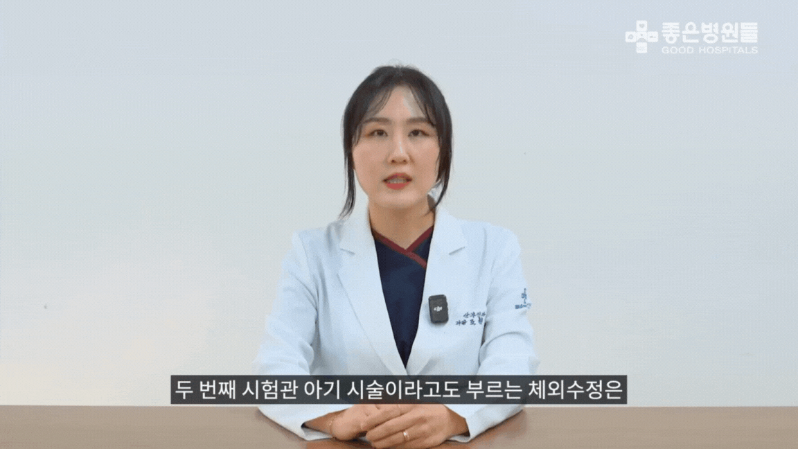 시험관 아기 시술 방법