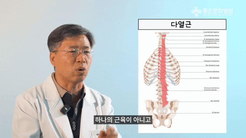 양방향척추내시경 수술의 장점 : 허리 근육 보존